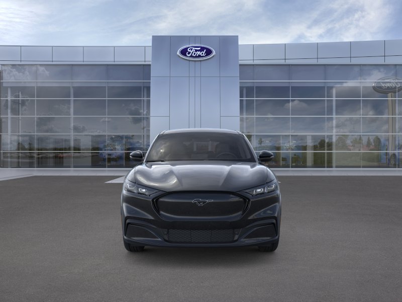 New 2026 Shadow Black Ford Premium image 28