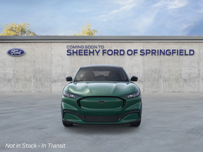 New 2026 Eruption Green Metallic Ford Premium image 28