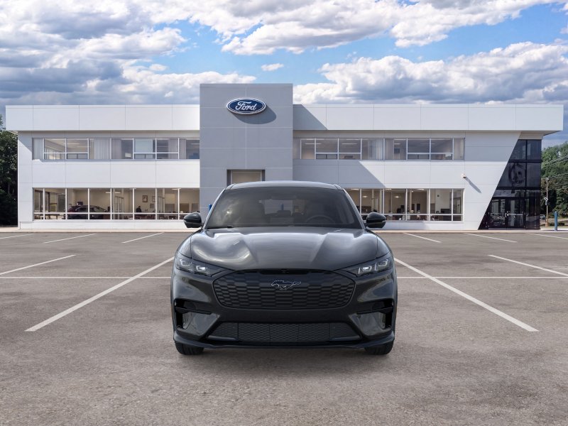 New 2026 Shadow Black Ford Premium image 28
