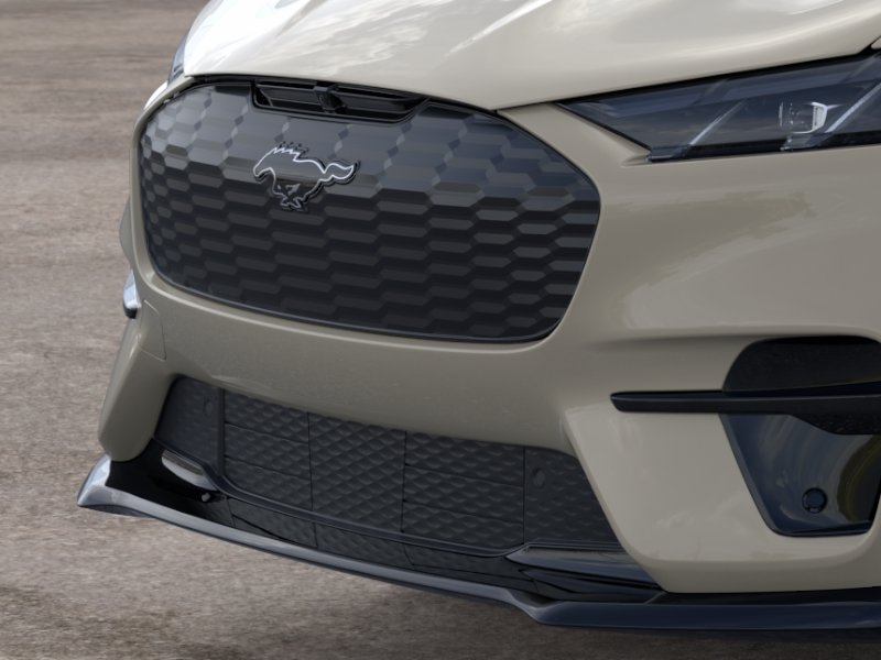 New 2026 Desert Sand Ford Premium image 17
