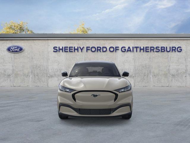 New 2026 Desert Sand Ford Premium image 28