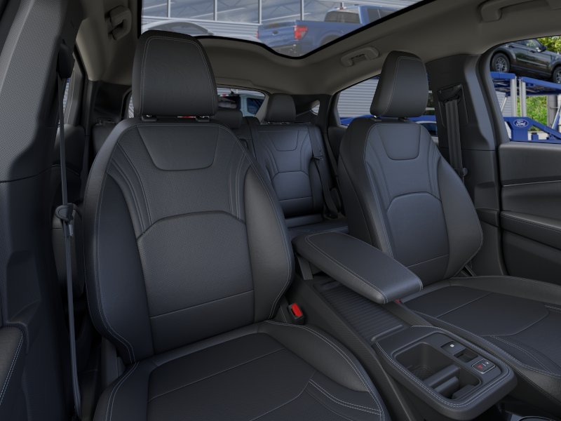 New 2026 Shadow Black Ford Premium image 10