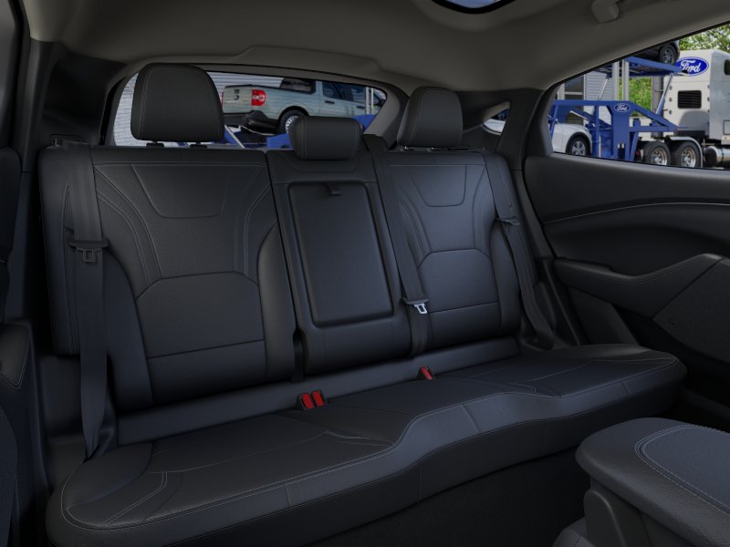New 2026 Shadow Black Ford Premium image 11