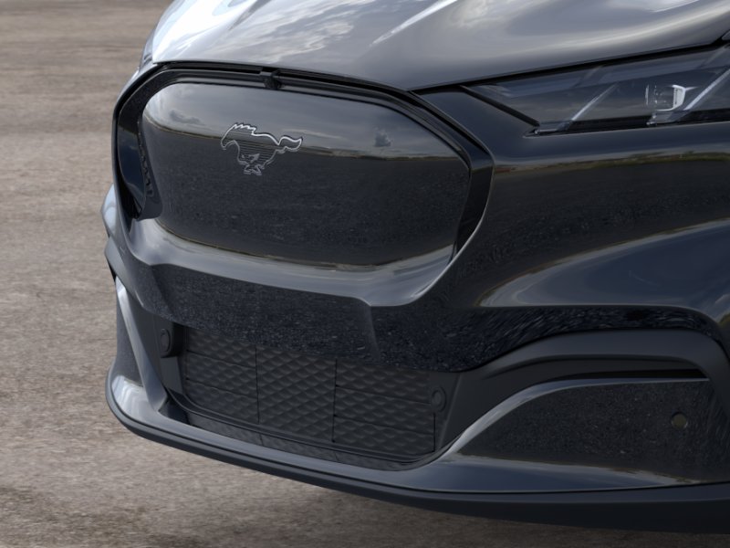 New 2026 Shadow Black Ford Premium image 17