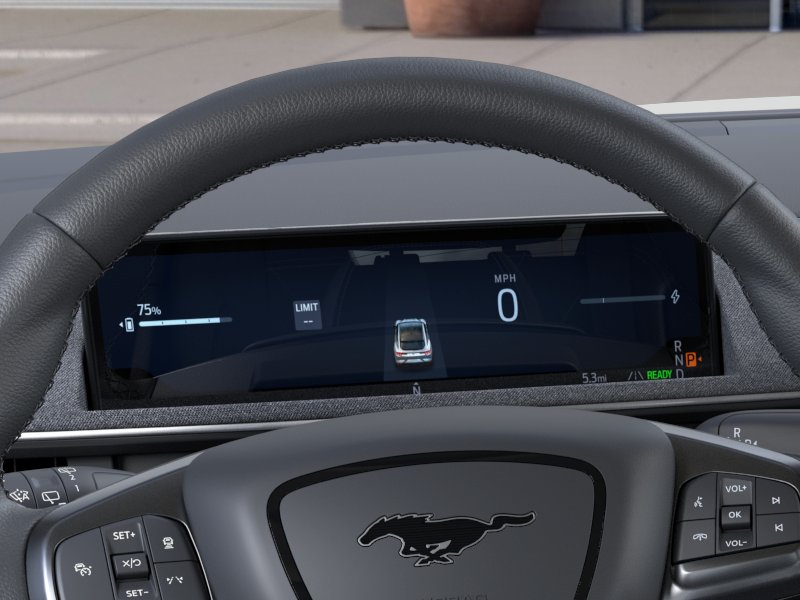 New 2026 Shadow Black Ford Premium image 35