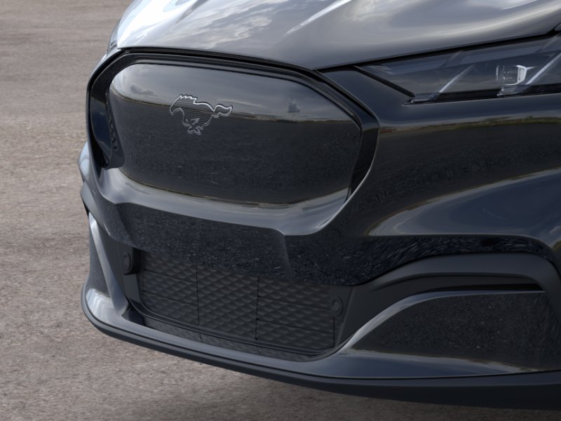 New 2026 Shadow Black Ford Premium image 39