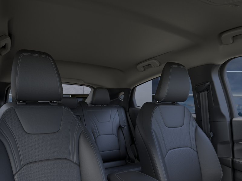 New 2026 Shadow Black Ford Premium image 44