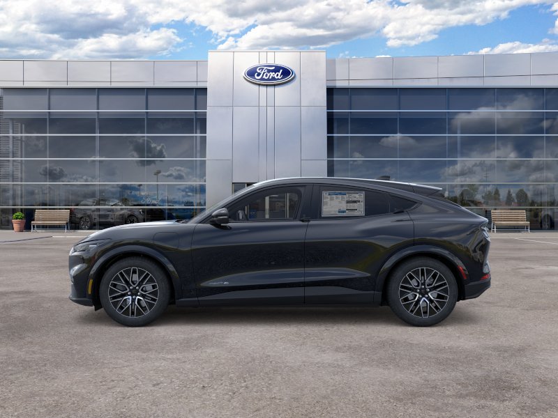 New 2026 Shadow Black Ford Premium image 25