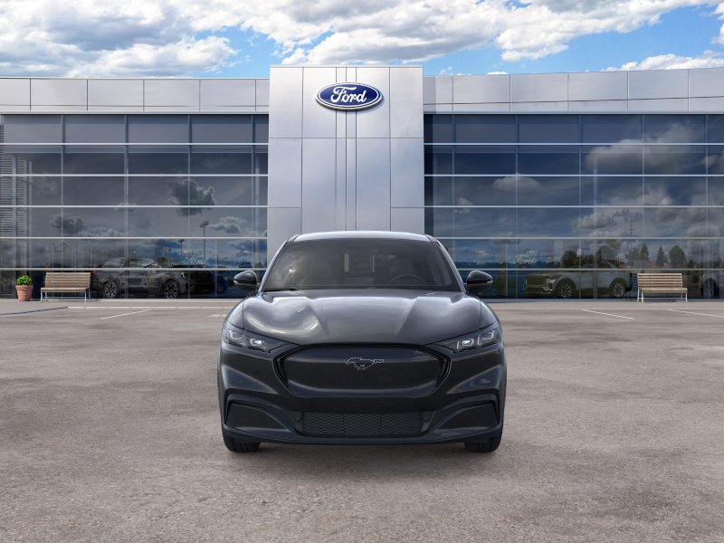 New 2026 Shadow Black Ford Premium image 28