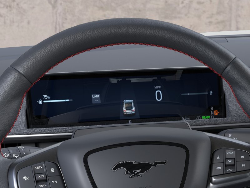New 2026 Shadow Black Ford Premium image 35