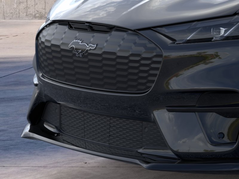 New 2026 Shadow Black Ford Premium image 39