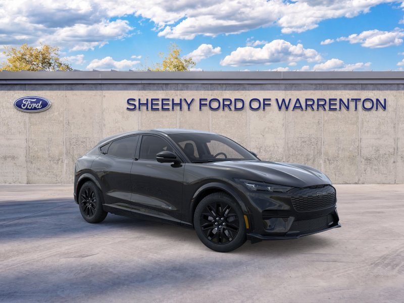 New 2026 Shadow Black Ford Premium image 23
