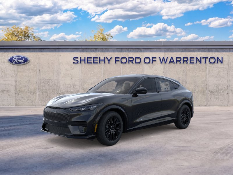 New 2026 Shadow Black Ford Premium image 24