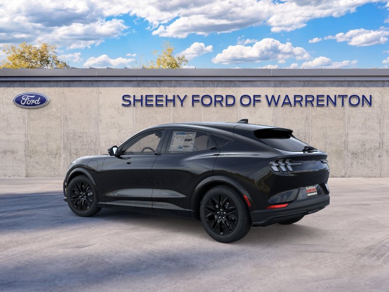 New 2026 Shadow Black Ford Premium image 27