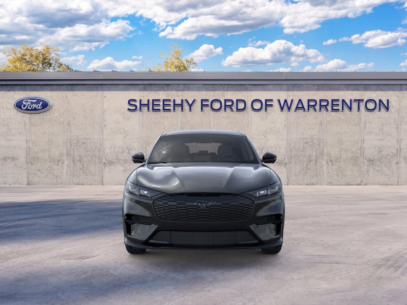 New 2026 Shadow Black Ford Premium image 29