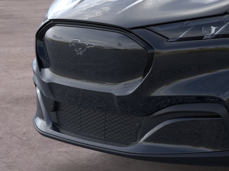 New 2026 Shadow Black Ford Premium image 17