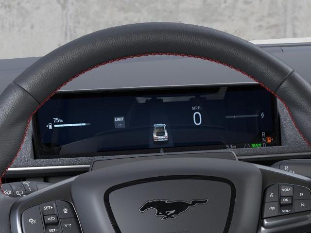 New 2025 Shadow Black Ford Premium image 35