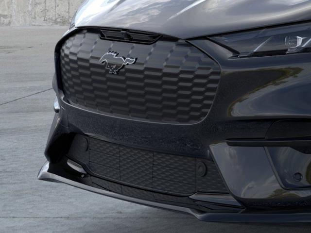 New 2025 Shadow Black Ford Premium image 39