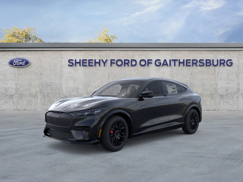 New 2025 Shadow Black Ford Premium image 23