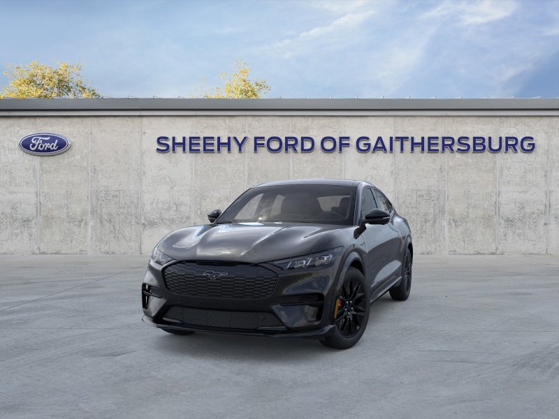 New 2025 Shadow Black Ford Premium image 24