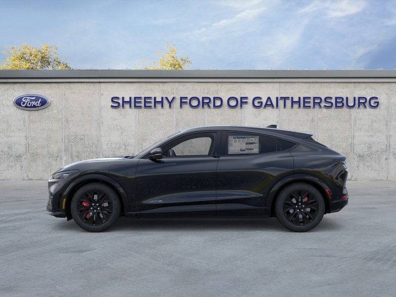 New 2025 Shadow Black Ford Premium image 25