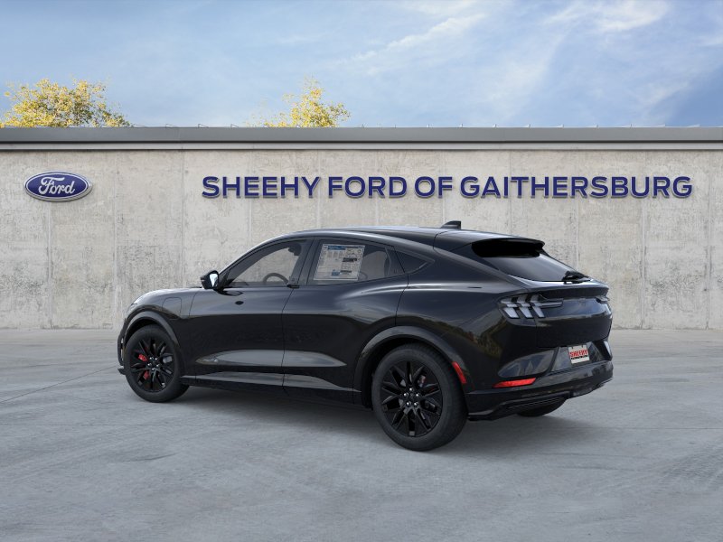 New 2025 Shadow Black Ford Premium image 26