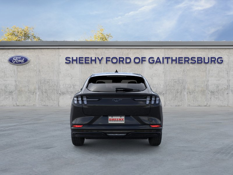 New 2025 Shadow Black Ford Premium image 27