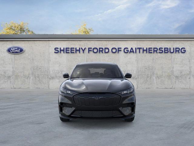 New 2025 Shadow Black Ford Premium image 28