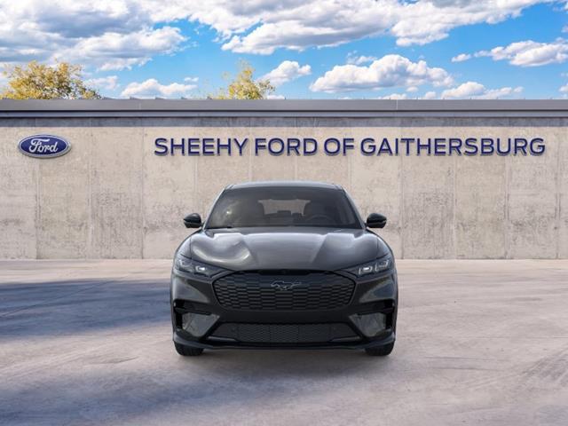 2025 Ford Mustang Mach-E Premium - Photo 6