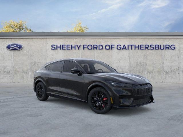 New 2025 Shadow Black Ford Premium image 29