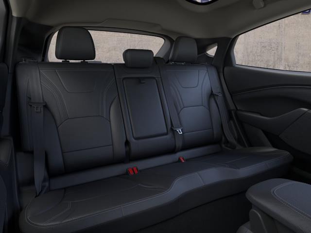 New 2026 Shadow Black Ford Premium image 33
