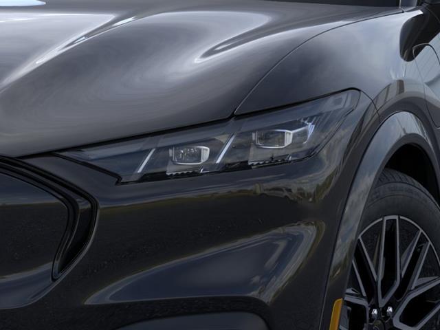 New 2026 Shadow Black Ford Premium image 40