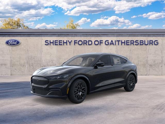 New 2026 Shadow Black Ford Premium image 23