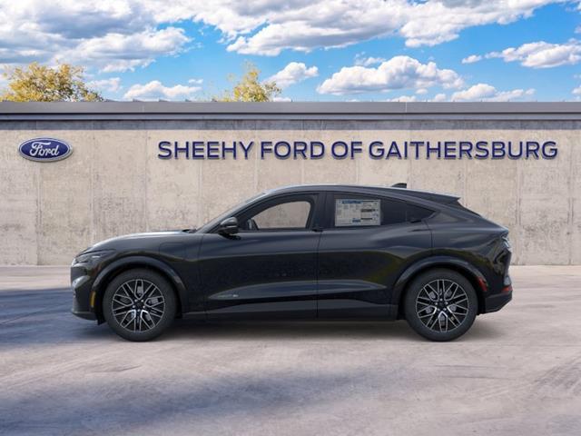 New 2026 Shadow Black Ford Premium image 25