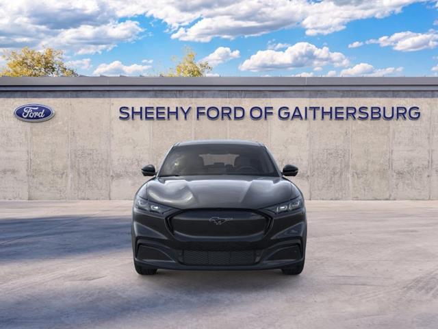 New 2026 Shadow Black Ford Premium image 28