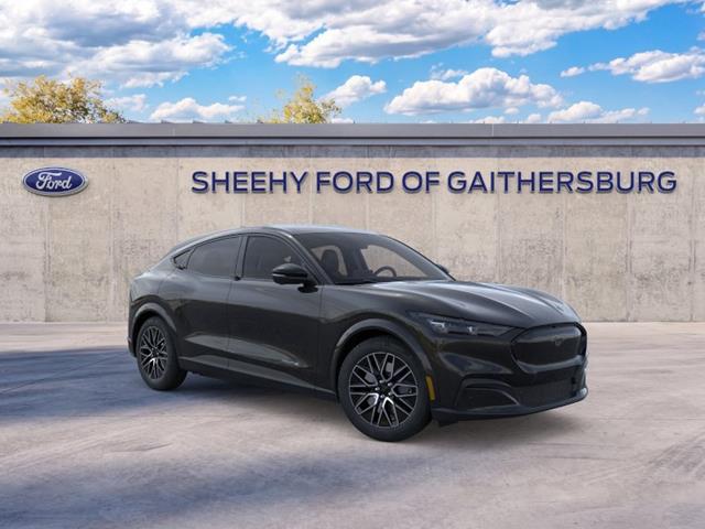 New 2026 Shadow Black Ford Premium image 29