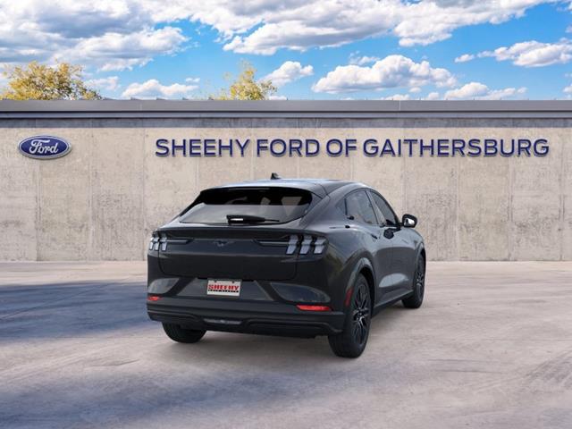 New 2026 Shadow Black Ford Premium image 30