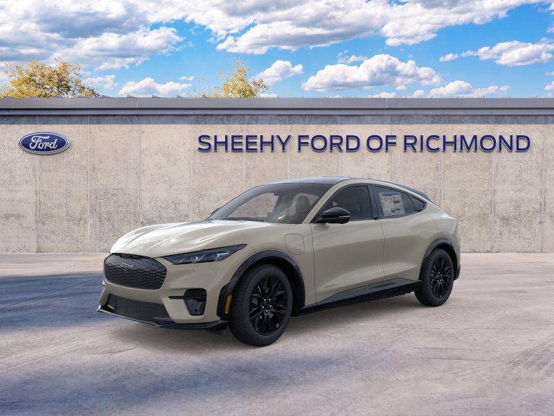 New 2026 Desert Sand Ford Premium image 24