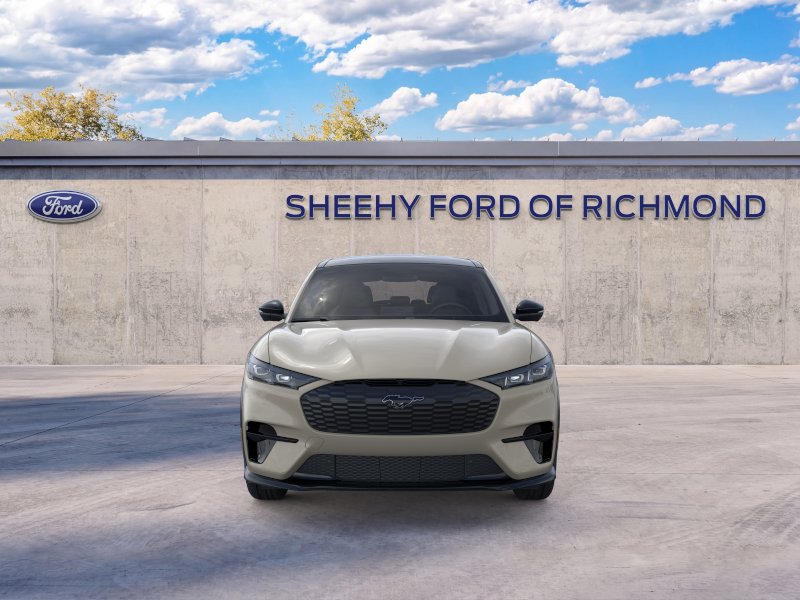 New 2026 Desert Sand Ford Premium image 29