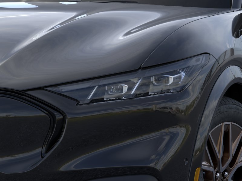 New 2025 Shadow Black Ford Premium image 40
