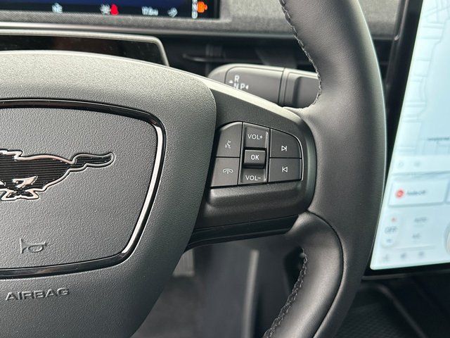 New 2025 Shadow Black Ford Premium image 48