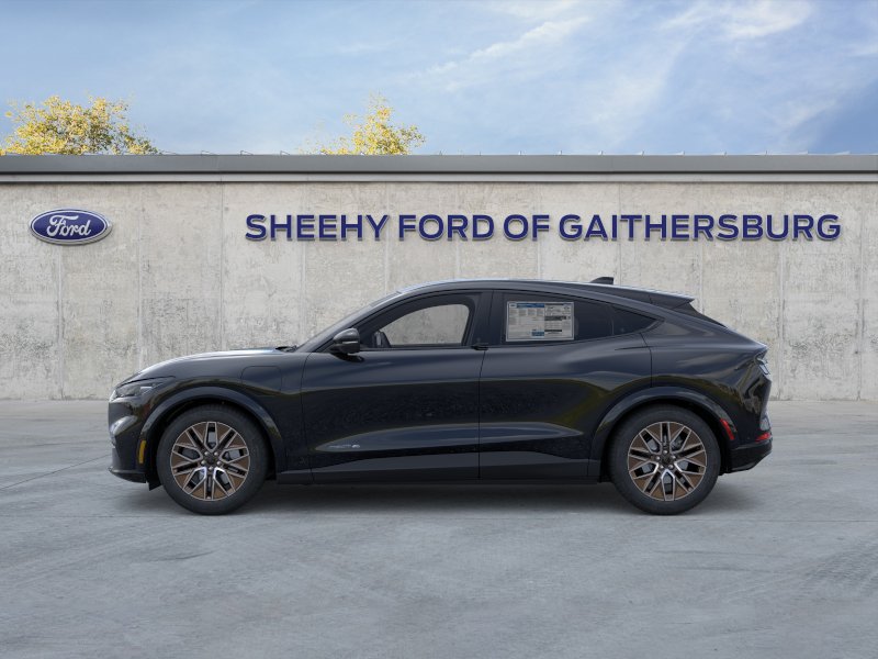 New 2025 Shadow Black Ford Premium image 25