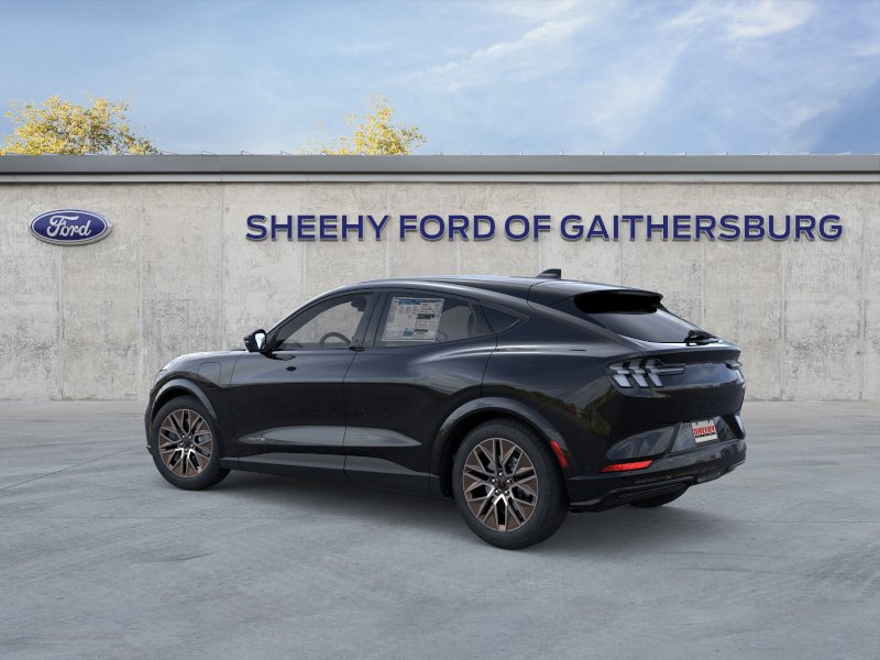 New 2025 Shadow Black Ford Premium image 26