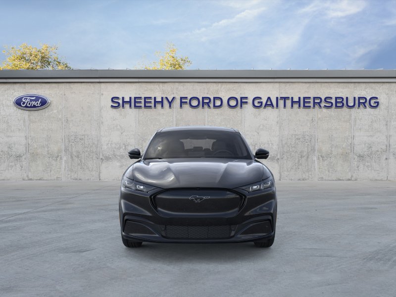 New 2025 Shadow Black Ford Premium image 28