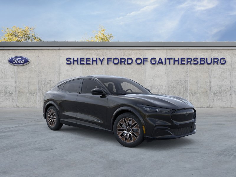 New 2025 Shadow Black Ford Premium image 29