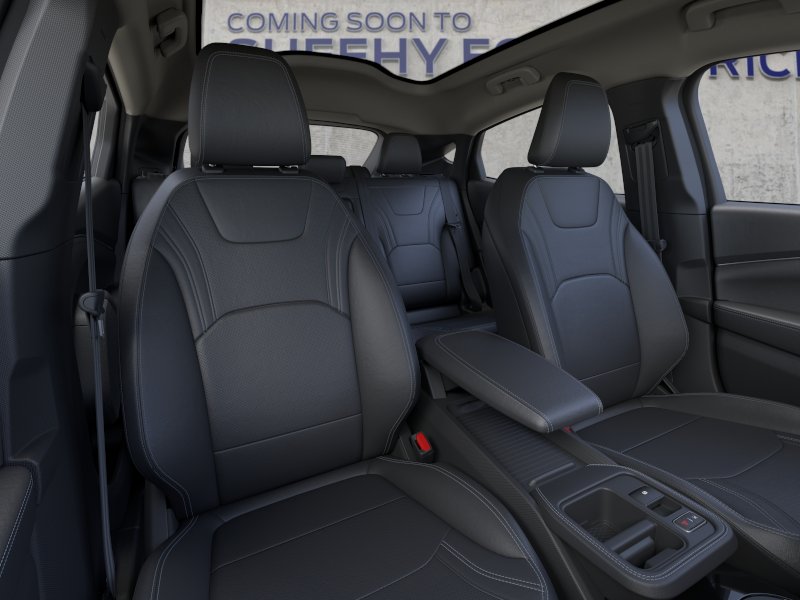 New 2026 Shadow Black Ford Premium image 10
