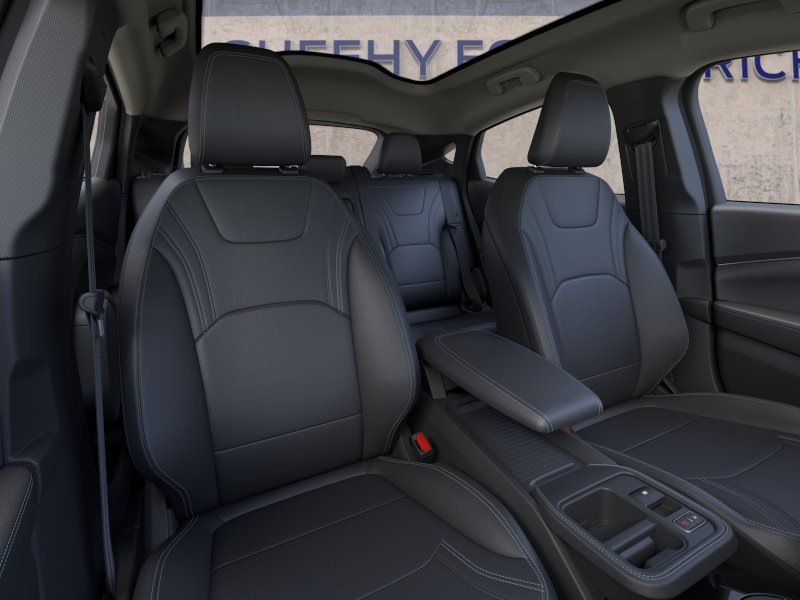 New 2026 Shadow Black Ford Premium image 10