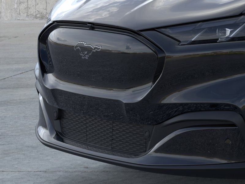 New 2026 Shadow Black Ford Premium image 17