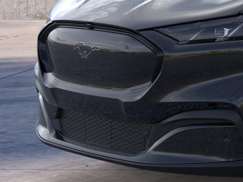New 2026 Shadow Black Ford Premium image 17
