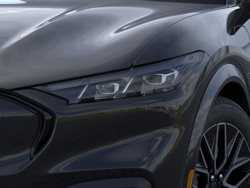 New 2026 Shadow Black Ford Premium image 18